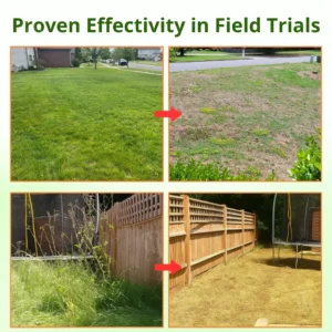 Cyclosinone Herbicide Granules - Image 7