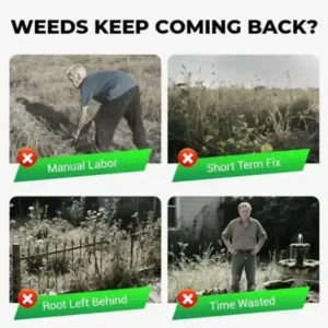 Cyclosinone Herbicide Granules | 🔥BUY 1 GET 1 FREE🔥 - Image 4