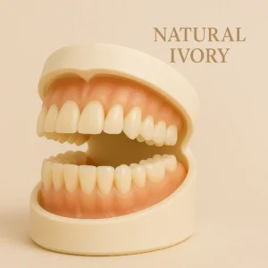 Premium Denture - Image 5