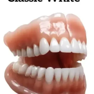 Silicone Full Denture Set - Image 2