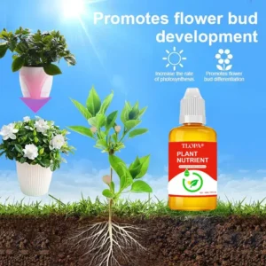Plant Nutrient Solution - Image 7