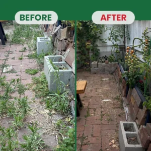 Weed Destruction Powder - Image 12
