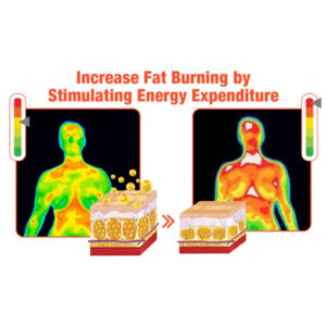 Ultimate 4D Slimming Spray - Image 8