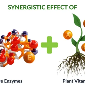 2 in 1 Vita-Enzyme Solution - Image 14