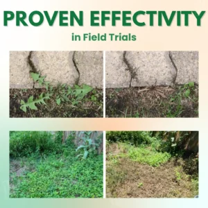 5 in 1 Max Power Herbicide - Image 5