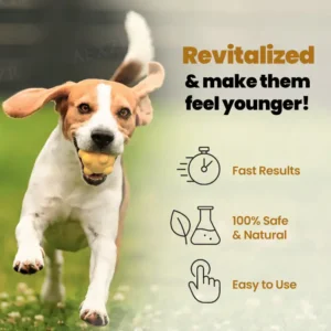 Joint Rejuvenation Drops - Image 4