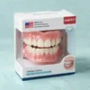 Multi-Functional Shaping Silicone Denture Set