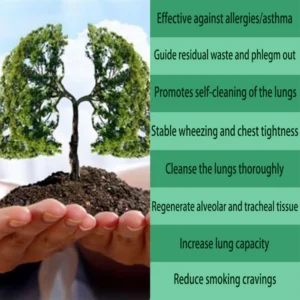 Organic Herbal Lung Cleansing Spray - Image 4