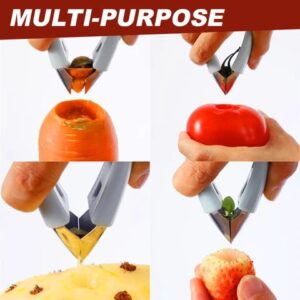 Multi-Purpose Fruit Stem Huller - Image 2