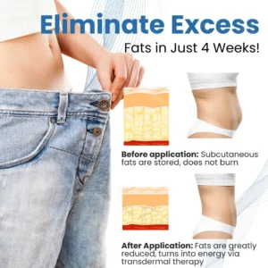 Clinical Body Sculpting System - Image 6