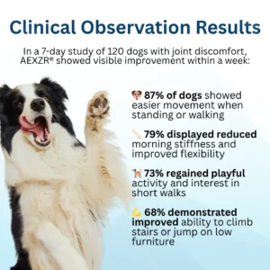 Pet Joint Health Revival Formula - Image 3