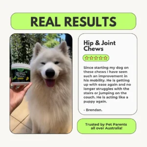 Advanced Hip & Joint Chew - Image 4