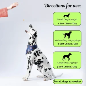 Advanced Hip & Joint Chew - Image 3