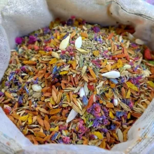 Dazzle Blossom Seeds - Image 9