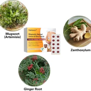 Magnetic Herbal Detox & Slim Patch - Image 9