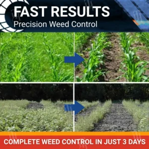 Halauxifen-methyl Cereals Herbicide - Image 2