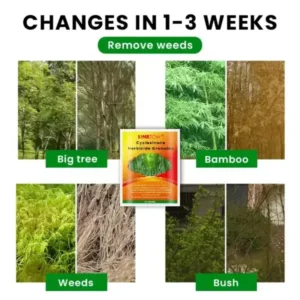 Cyclosinone Herbicide Granules - Image 7