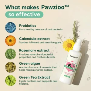 Probiotic Enzymatic Dental Spray - Image 2