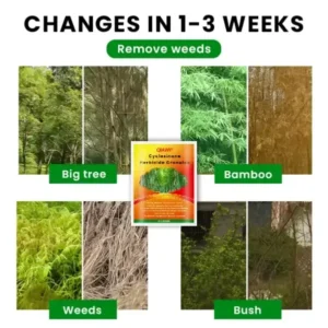 Cyclosinone Herbicide Granules - Image 7