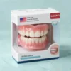 Multi-Functional Shaping Silicone Denture Set