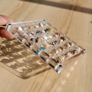 Acrylic Magnetic Seashell Display Box - Image 7