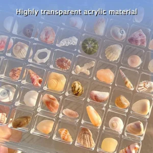 Acrylic Magnetic Seashell Display Box - Image 8