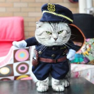Funny Cat Costumes - Image 6