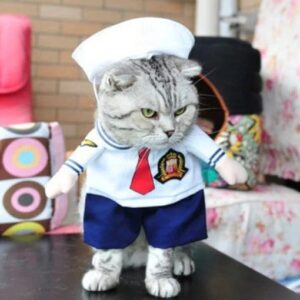 Funny Cat Costumes - Image 7