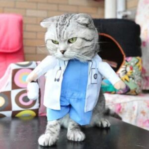 Funny Cat Costumes - Image 9