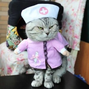 Funny Cat Costumes - Image 10