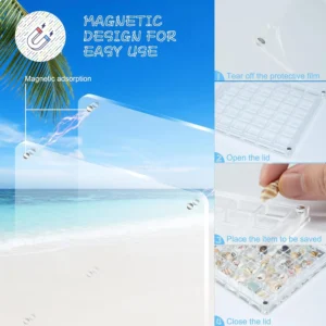 Acrylic Magnetic Seashell Display Box - Image 9