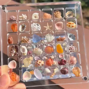 Acrylic Magnetic Seashell Display Box - Image 5