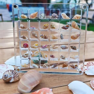 Acrylic Magnetic Seashell Display Box - Image 4
