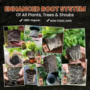 Root Drops - Image 14