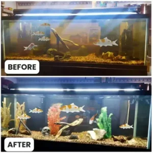 Aquariums Aqua-Guardian Blend - Image 15