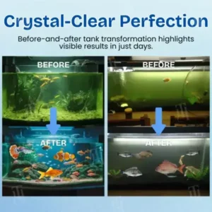 Aquariums Aqua-Guardian Blend - Image 5