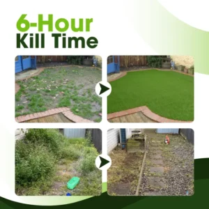 ClearYard Dual-Action Herbicide - Image 5