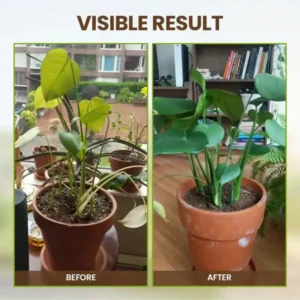 2026🏆✨LAST DAY SALE 70% OFF🔥Seasonal Promotion🔥-Soil Pro Activator - Image 8