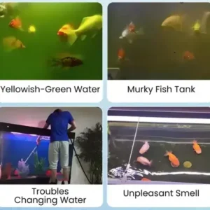 Aquariums Aqua-Guardian Blend - Image 17