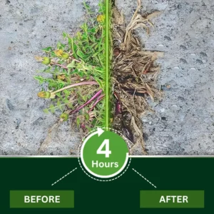 🌿 2-in-1 Weed Killer | Same-Day Results & Kills Roundup-Resistant Weeds - Image 5
