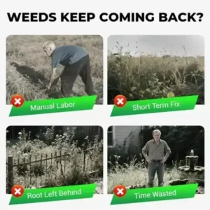 Cyclosinone Herbicide Granules | 🔥BUY 1 GET 1 FREE🔥 - Image 3
