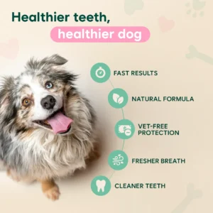 Dental Spray – Stop Bad Breath & Tartar at the Source - Image 4