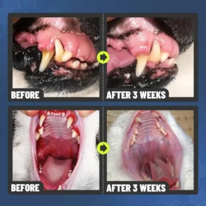 Dental Spray – Stop Bad Breath & Tartar at the Source - Image 8