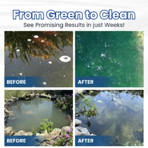 ✨ From Green to Clean Overnight! |⏱️ Crystal Clear in 24 Hours! | Aqua-Guardian Pro Formula - Image 2
