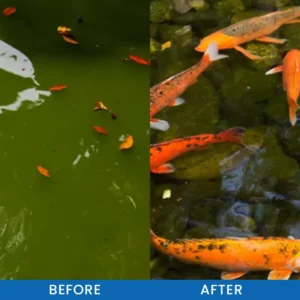 Premium Pond Care Powder - Image 10