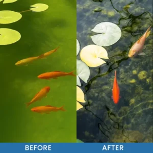 Premium Pond Care Powder - Image 8