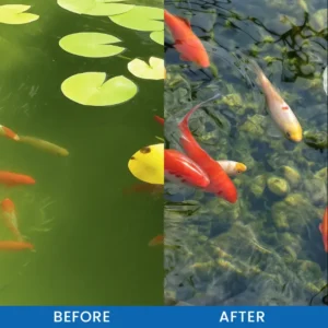 Premium Pond Care Powder - Image 9