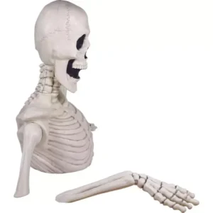 Giant Skeleton Groundbreaker - Image 9