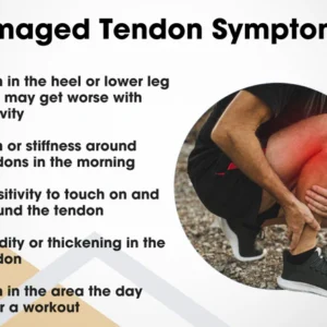Tendon Repairing Cream - Image 3