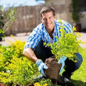 2026🏆✨LAST DAY SALE 70% OFF🔥Seasonal Promotion🔥-Soil Activator - Image 8
